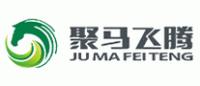 聚马飞腾