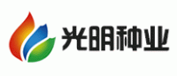 光明种业