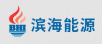 滨海能源BHI