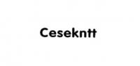 cesekntt
