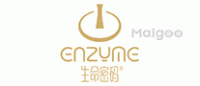 生命密码ENZYME