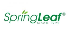 Spring Leaf Since 1992