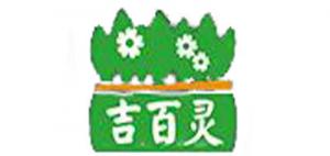 吉百灵
