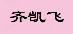 齐凯飞