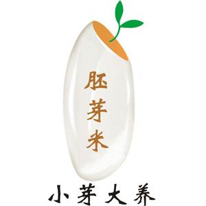小芽大养