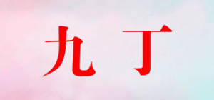 九丁