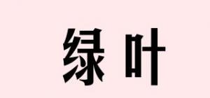 绿叶