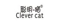 聪明猫