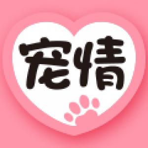 宠情
