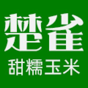 楚雀