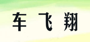 车飞翔