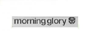 Morning Glory