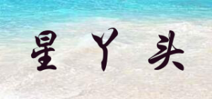 星丫头