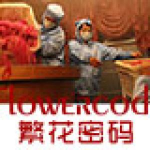 繁花密码