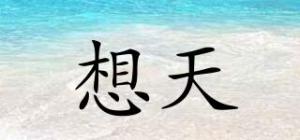 想天