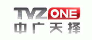 伟思