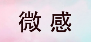 微感