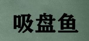 吸盘鱼