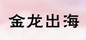 金龙出海