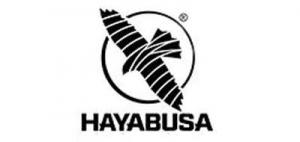 Hayabusa