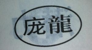 庞龙