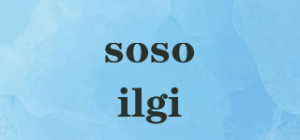 sosoilgi