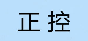 正控