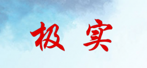 极实