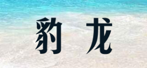 豹龙