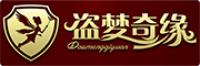 盗梦奇缘