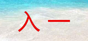 入一