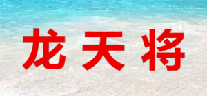 龙天将