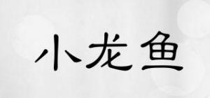 小龙鱼