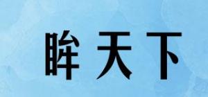 眸天下