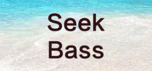 SeekBass