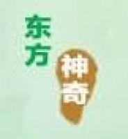 东方神奇