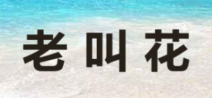 老叫花