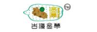 古滇金草