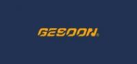 gesoon