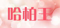 哈柏王