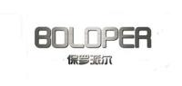 保罗派尔