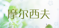 摩尔西夫