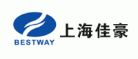 上海佳豪
