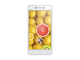 vivo Y29L