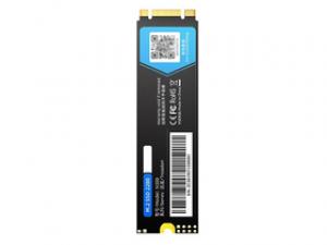 ORICO迅龙N300 256GB M.2 SSD