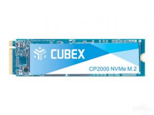 速柏CP2000 256GB M.2 SSD