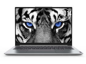 联想小新Pro 14 2021(酷睿i5-1135G7/16GB/512GB/MX450)