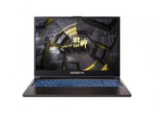 神舟战神TX8R5(酷睿i5-13500HX/16GB/512GB/RTX4060/165Hz/2.5K)