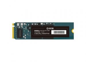 影驰星曜X4系列无马甲 1TB M.2 SSD