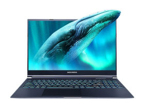 机械革命极光pro(酷睿i7-12700H/16GB/512GB/RTX3060/165Hz/2.5K)